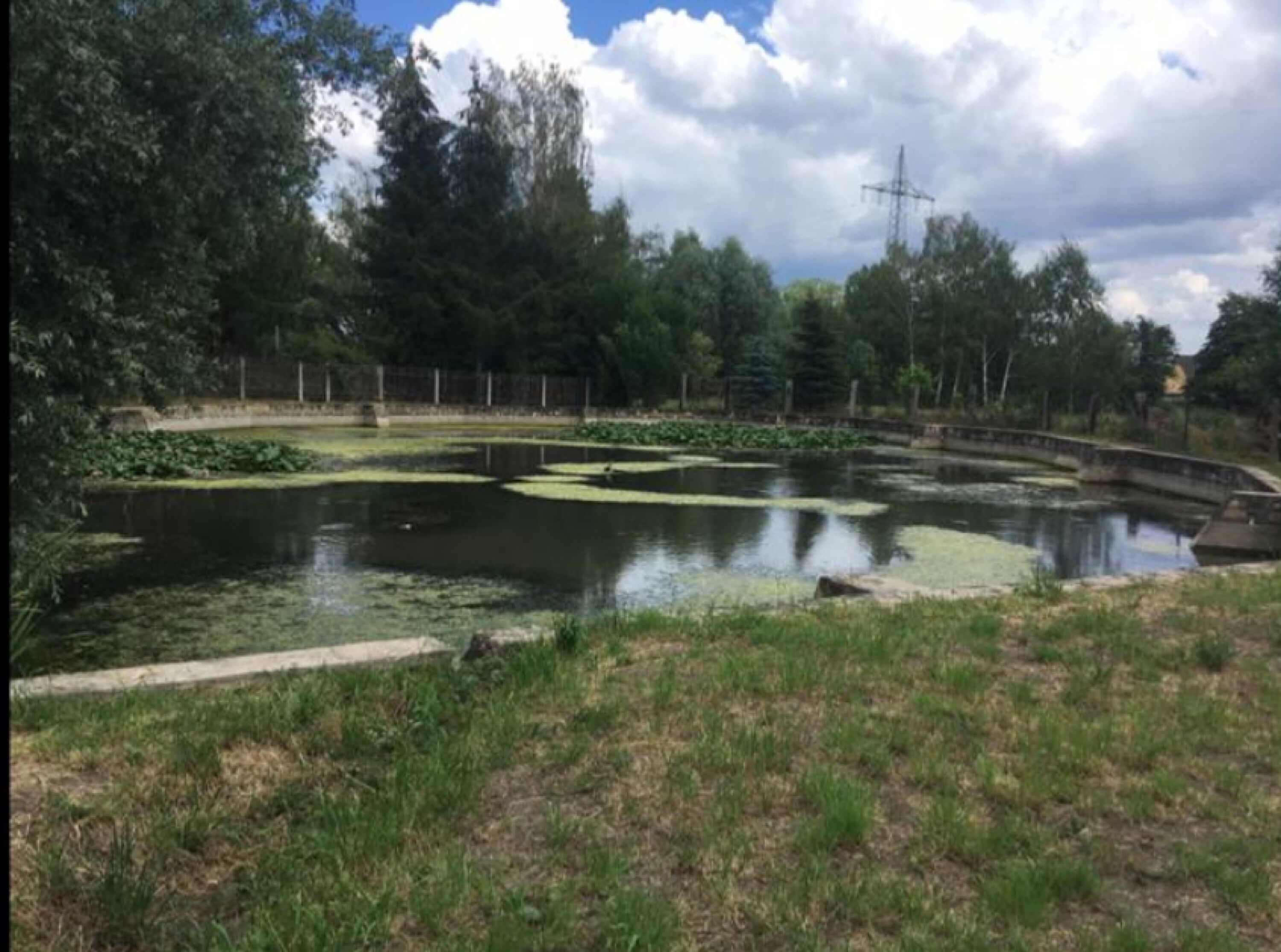Teich auf dem Gelände von Siggi's Ranch